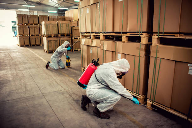Best Pest Removal Services  in South Laurel, MD