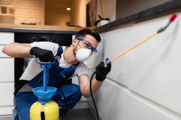 Best Emergency Pest Control  in South Laurel, MD