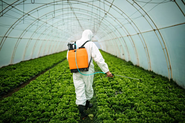 Best Best Pest Control Companies  in South Laurel, MD