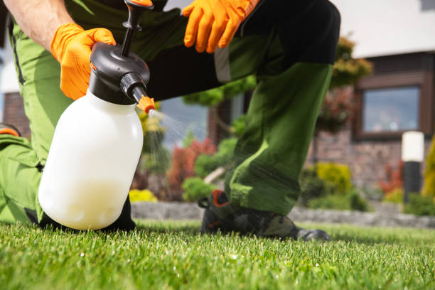 Pest Prevention Services in South Laurel, MD