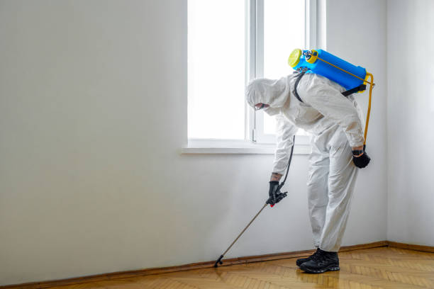 Insect Control in South Laurel, MD