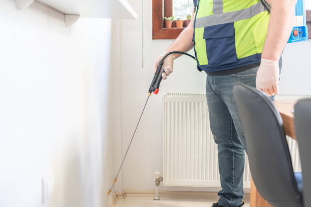 Best Wasp Removal Services  in South Laurel, MD