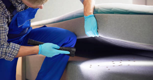 Best Best Pest Control Companies  in South Laurel, MD