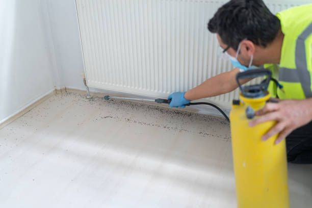 Best Pest Control Near Me  in South Laurel, MD