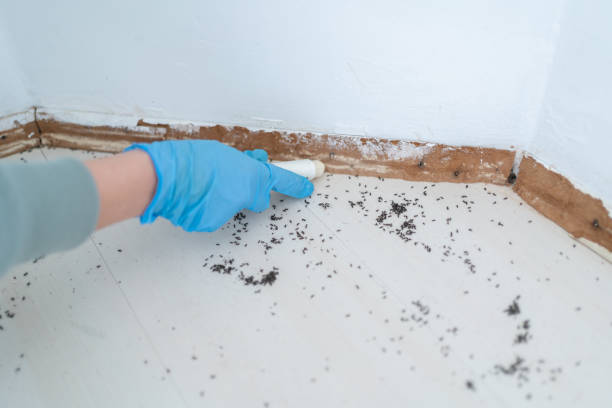 South Laurel, MD Pest Control Company